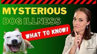 Mysterious Dog Illness - How To Support Naturally