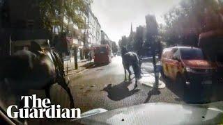 Military horse runs into a car in London after three break loose again