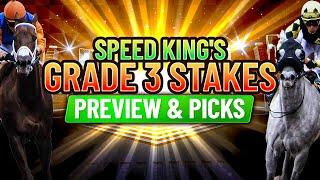Grade 3 Regret Stakes Preview & Picks  Churchill Downs 5th Race Saturday 632023