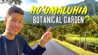 Hoomaluhia Botanical Garden Tour & Guide  Things to Do Oahu Hawaii