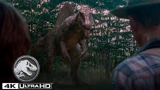 Jurassic Park 3  The Spinosaurus Chase in 4K HDR