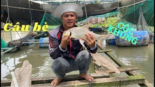 Câu bè mới khu cồn Tân Lộc đụng bầy cóc thiếu nhi  Trí Nguyễn CT Fishing