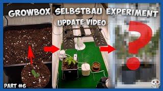 UPDATE VIDEO  GROWBOX Selbstbau Experiment  Teil 6  DIY