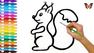 How to draw a cute squirrel for kids?