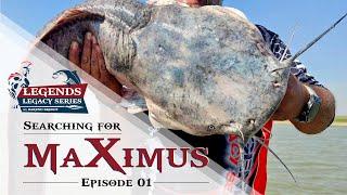 Searching for MaXimus - Myth of the Vaaldam Monster