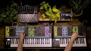 Moog Semi-Modular Synthesizers Interconnectivity II