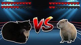 Maxwell cat vs Capybara Meme battle