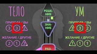 Что такое шестиугольники цвета в бодиграфе и как их читать.