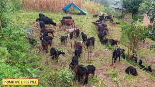 Beautiful Nepali Mountain Village Traditional life of Nepal  Peaceful And Relaxing Village Life