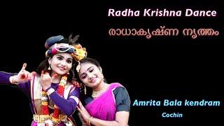 Radha - Krishna dance presented by Ameya and Durga.