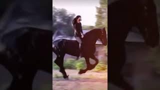 Horse riding girl so elegant