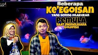 TIPS MEMELIHARA IKAN MAS KOKI - KESALAHAN YANG SERING DILAKUKAN PARA PEMULA 