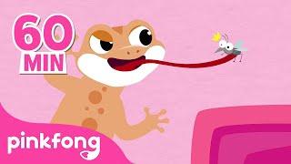 Cicak Cicak di Dinding 1 Jam  Lagu Anak  Pinkfong Baby Shark