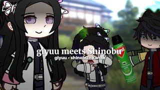 giyuu meets shinobu..  DEMON SLAYERKNY