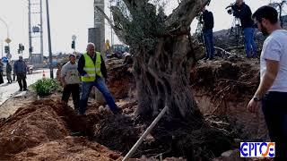 ΕΡΓΟΣΕ ΤΟ ΤΑΞΙΔΙ ΤΗΣ ΕΛΙΑΣ – ΖΩΗ ΞΑΝΑ