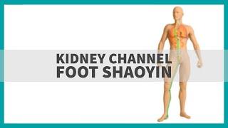 TCM Anatomy Kidney Channel of Foot Shaoyin