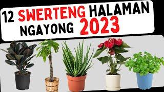 2023 LUCKY PLANTS  Maswerteng mga HALAMAN sa LOOB at LABAS ng BAHAY ngayong 2023  TAGALOG