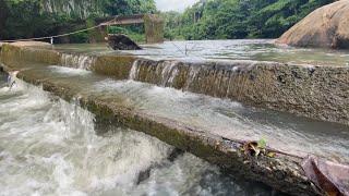 പ്രളയബാക്കിയായി കാളികാവ് പാലം പുനർനിർമാണം ഇഴയുന്നുMalappuram kalikavu bridge