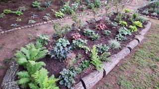 Finally completed this massive perennial bed in my GA zone 8a garden. Third times the charm