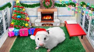  DIY Christmas House  Hamster Maze with Traps