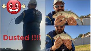 Sydney Fishing Session  Big King Fish Dusted Me