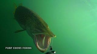 10 Minutes of Underwater Pike Strikes - Water Wolf Underwater Camera