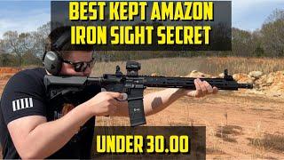 Best Kept Amazon Iron Sights Secret