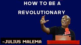 Julius Malema How To Be A Revolutionary