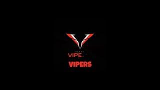 Everything You Need To Know About The Vegas Vipers