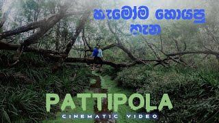 Pattipola-Horton plains  හැමෝම හොයපු සුන්දර තැන  Ambewela  KandeEla  Nuwaraeliya  BadullaTrain