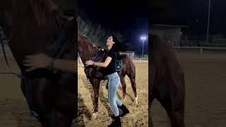 Girl kiss horse. girl love horse #punjab #horse #horselover #ghoda #ghodi #horses #horseriding