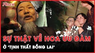 ‘Thầy ông nội’ Lê Tùng Vân đã sử dụng Hoa Ưu Đàm để đánh bóng Tịnh thất Bồng Lai như thế nào?  PLO