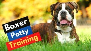 How To Potty Train A Boxer Puppy? How To Use Pee Pads?