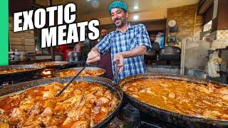 Pakistan’s Ultra Bizarre Street Food Exotic Meats of Lahore