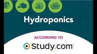 Hydroponic Farming - Growing Plants Without Soil  Nature & Science Facts According to Study.com