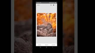 Snapseed Background Change Photo Editing Tricks 2022  Snapseed Face Smooth Photo Edit Tutorial 