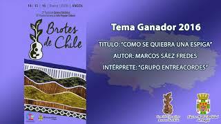 Brotes de Chile - Como se quiebra una Espiga