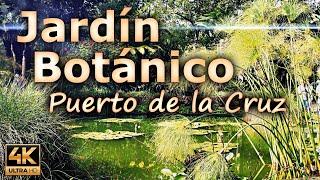 Jardín Botánico in Puerto de la Cruz a beautiful botanical garden  Tenerife Spain  4K