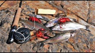 Catch and Cook and Camp Ep. 4 *WILD Trout WILD Bass WILD Crayfish*