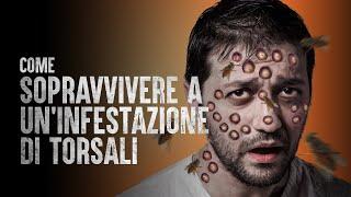 Come Sopravvivere a unInfestazione di Torsali