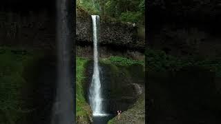 Waterfall find in Oregon #shortsfeed #nature #waterfall #outdoors #shortsviral #hike #earth #fypage