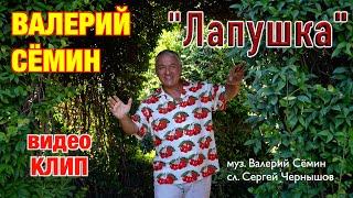 Поёт ВАЛЕРИЙ СЁМИН ️ Клип ЛАПУШКА ️ Очень красиво и душевно