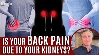 Is Your Back Pain Due to Your Kidneys?   The Cooking Doc®