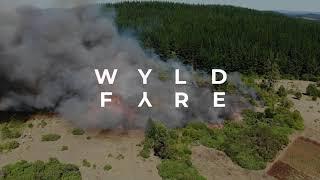 Wyld Fyre Boardgame Trailer  SFU IAT312