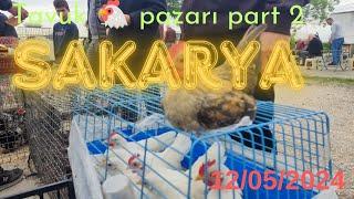 12052024 Sakarya tavuk  pazarı part 2