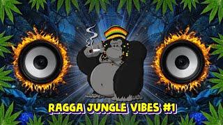 Ragga Jungle Drum & Bass Vibes #1 Reggae DnB Mix