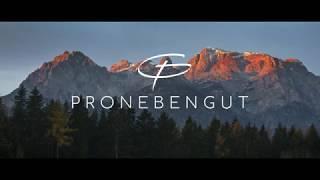 PRONEBEN - DIRECTORS CUT