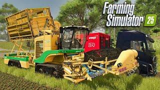  FS25 NEW VEHICLES & CROP  Farming Simulator 25