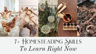 7+ Homesteading Skills to Learn Right Now  Preparation Mode for Dream Homestead  Master Skills