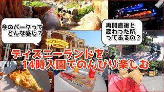 【TDL】ディズニーランドを14時入園でのんびり楽しむ【食べ歩き・アトラクション】